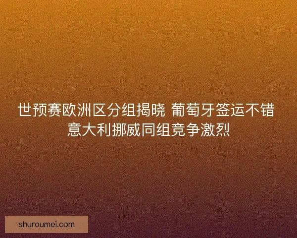 世预赛欧洲区分组揭晓 葡萄牙签运不错 意大利挪威同组竞争激烈